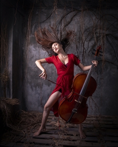 Salon.Photo Gold Medal