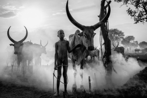 Salon.Photo Silver Medal