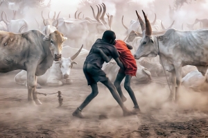 Salon.Photo Bronze Medal