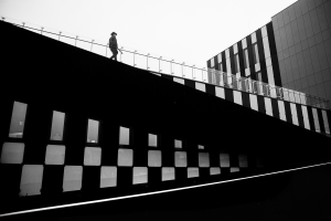 Salon.Photo Bronze Medal